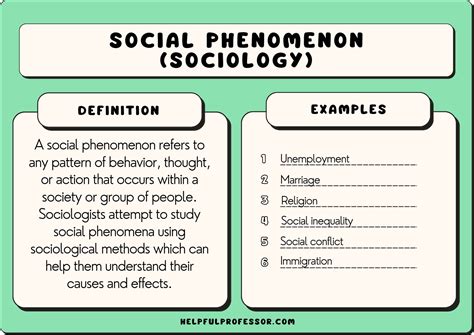 Researching Reality: A Masterclass in Unmasking Social Phenomena